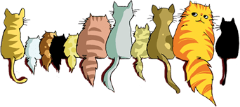 #booktag: Unpopular Opinion Book Tag&nbsp;😈