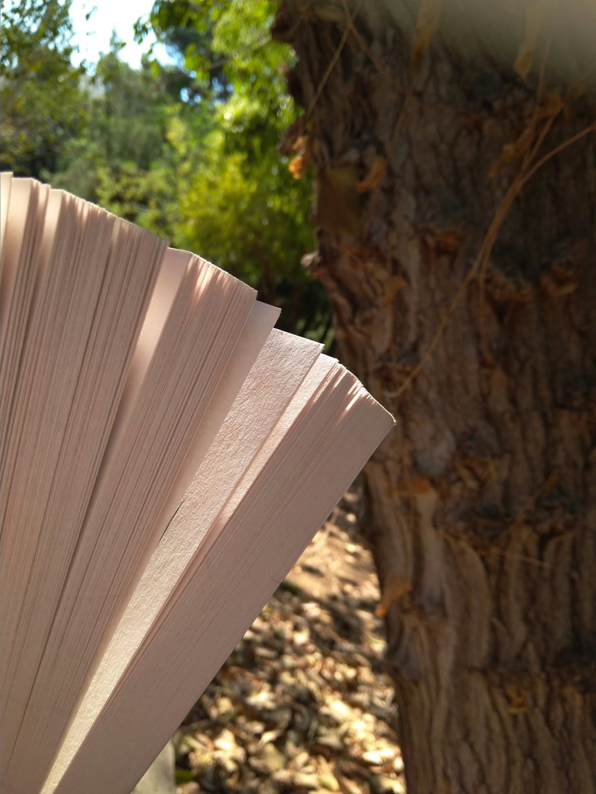 #article: 10 (περισσότερα) Ελληνικά βιβλία&nbsp;Φαντασίας