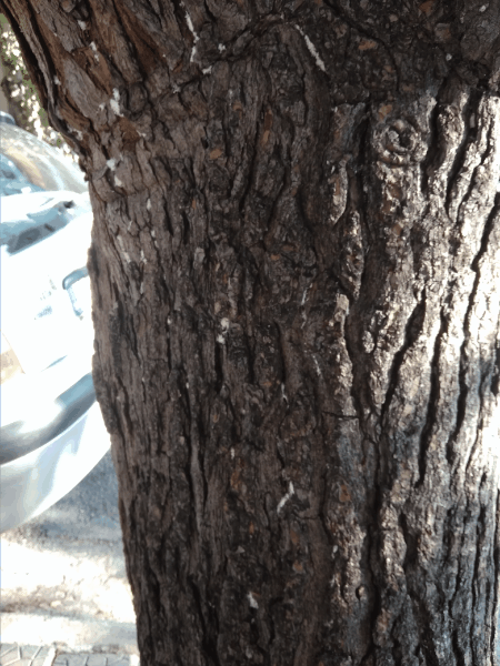 #booktalk: Ο Ωκεανός στο τέλος του&nbsp;δρόμου