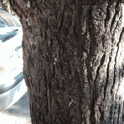 #booktalk: Ο Ωκεανός στο τέλος του&nbsp;δρόμου